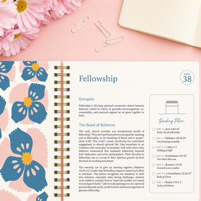 The Bible In A Year: 52-Week Guided Study Journal