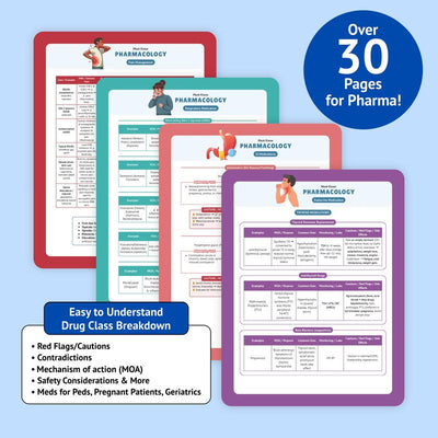 The Essential Family Nurse Practitioner Guide — Core Concepts for School, Clinicals & Practice
