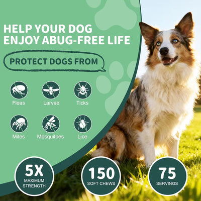 Flea & Tick Prevention Chews for Dogs